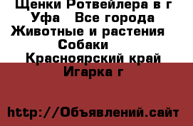 Щенки Ротвейлера в г.Уфа - Все города Животные и растения » Собаки   . Красноярский край,Игарка г.